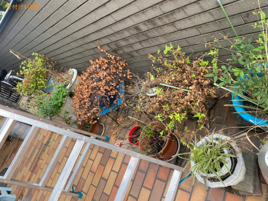 鉢植えの回収と電動ベッドの設置作業ご依頼　お客様の声